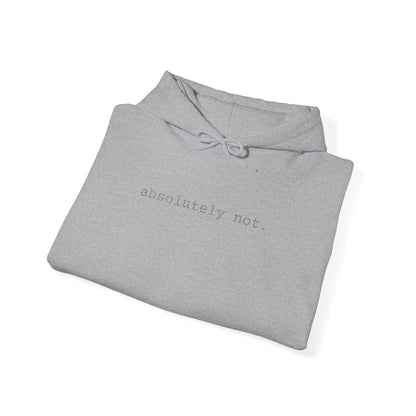 Minimal Embroidered 'absolutely not.' Hoodie - White Cozy Casual Sweatshirt