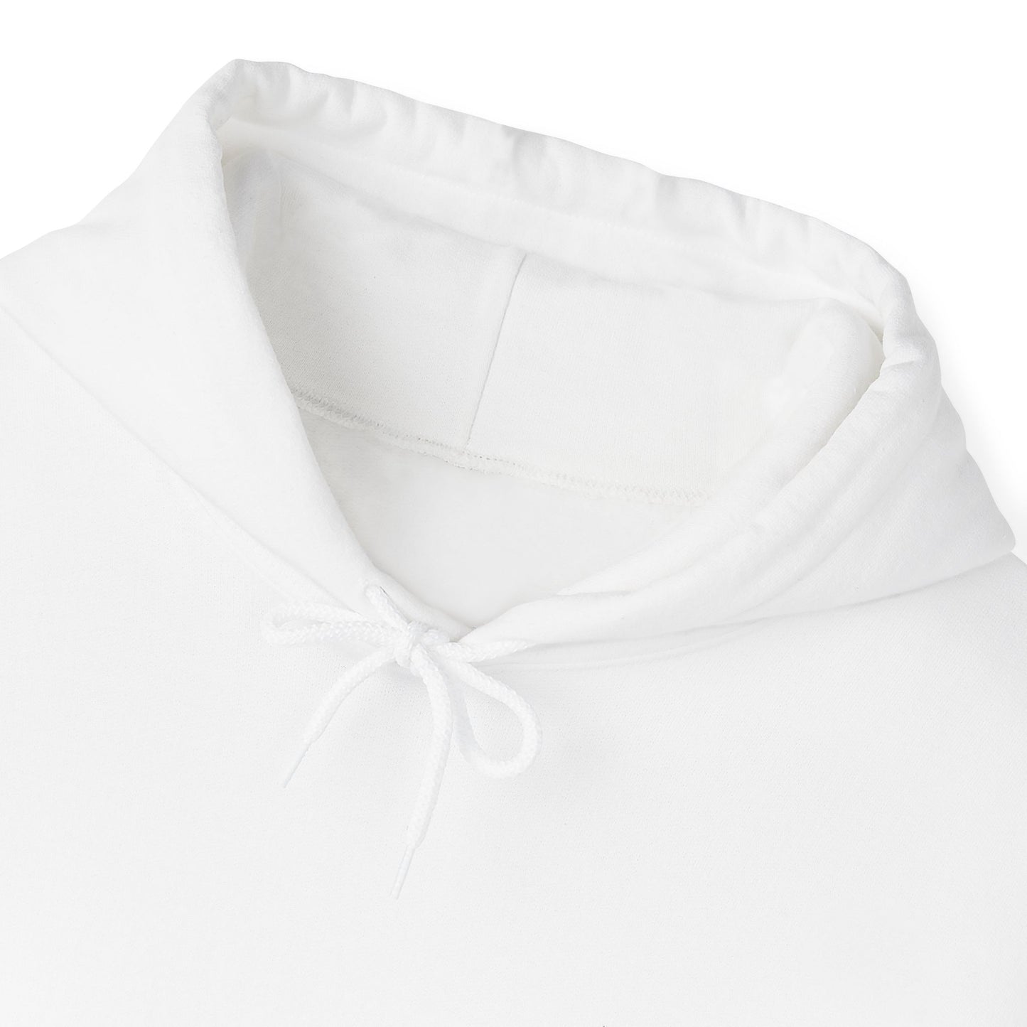 Minimal Embroidered 'absolutely not.' Hoodie - White Cozy Casual Sweatshirt