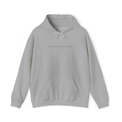 Minimal Embroidered 'absolutely not.' Hoodie - White Cozy Casual Sweatshirt