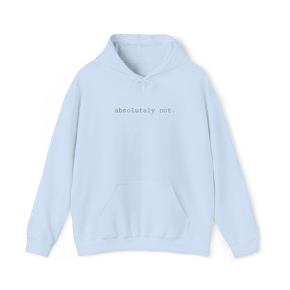 Minimal Embroidered 'absolutely not.' Hoodie - White Cozy Casual Sweatshirt