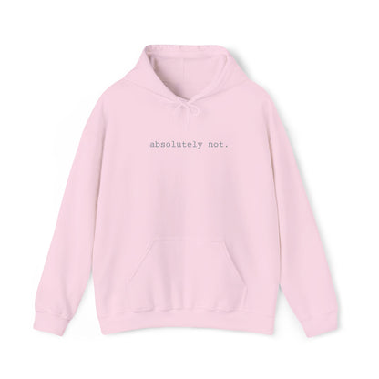 Minimal Embroidered 'absolutely not.' Hoodie - White Cozy Casual Sweatshirt